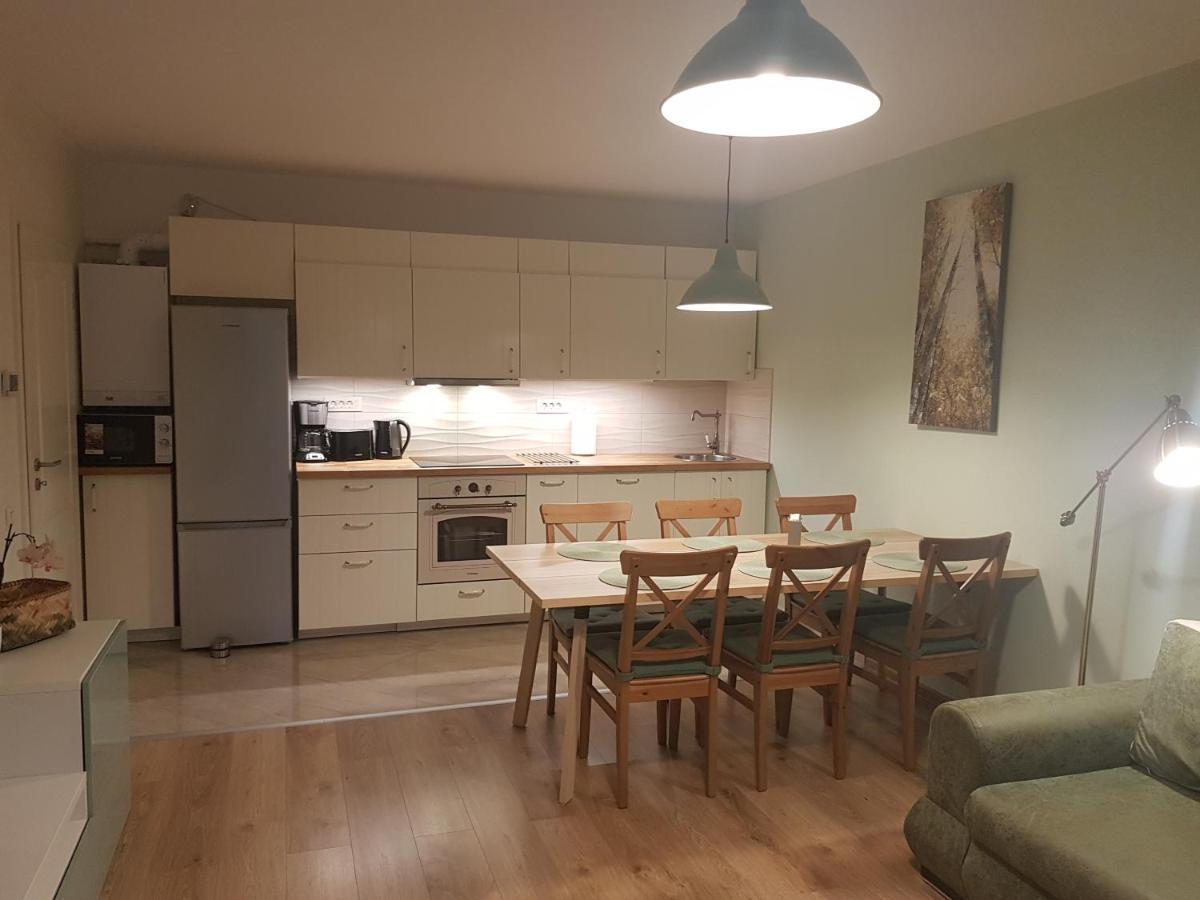 Apartament Monadin 3 براشوف المظهر الخارجي الصورة
