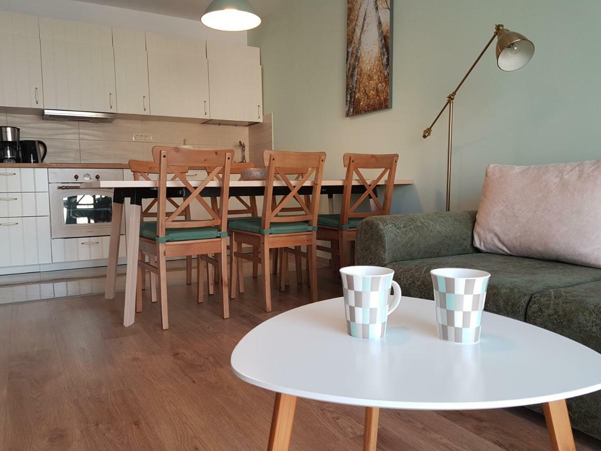 Apartament Monadin 3 براشوف المظهر الخارجي الصورة